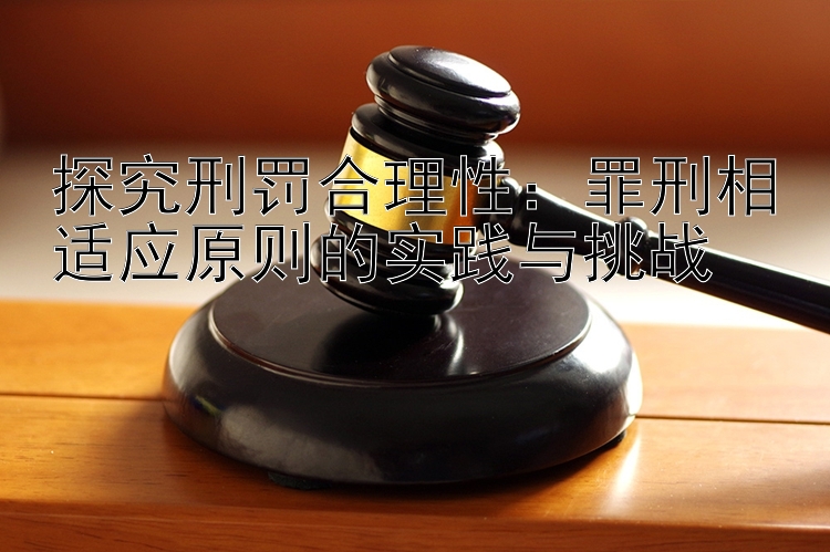 探究刑罚合理性：罪刑相适应原则的实践与挑战