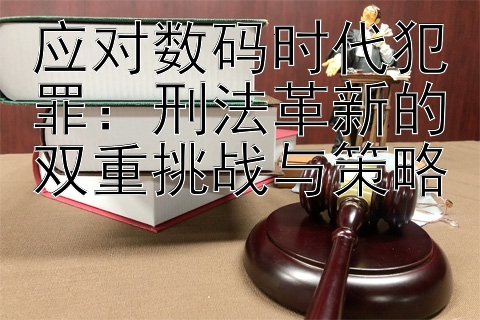 应对数码时代犯罪：刑法革新的双重挑战与策略