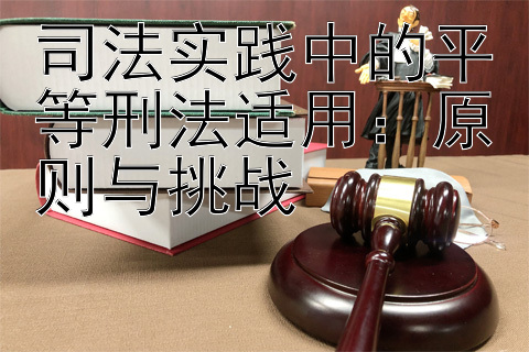 司法实践中的平等刑法适用：原则与挑战