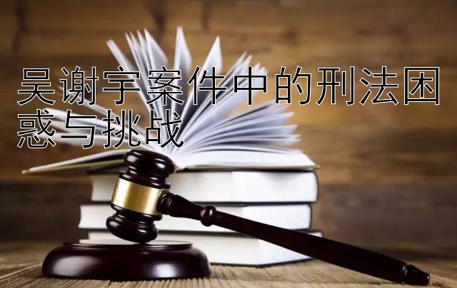 吴谢宇案件中的刑法困惑与挑战