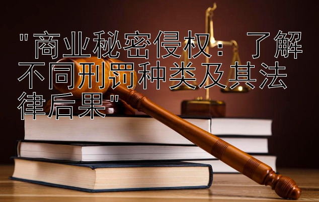 商业秘密侵权：了解不同刑罚种类及其法律后果