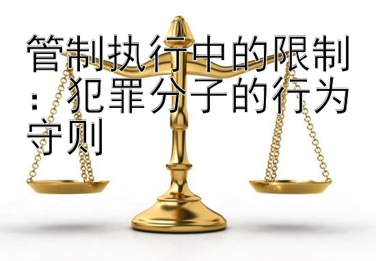 管制执行中的限制：犯罪分子的行为守则