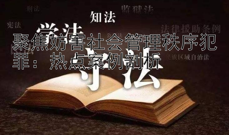 聚焦妨害社会管理秩序犯罪：热点案例剖析