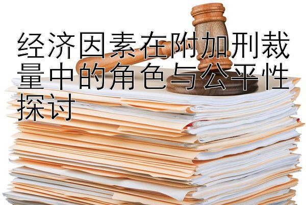 经济因素在附加刑裁量中的角色与公平性探讨