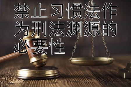 禁止习惯法作为刑法渊源的必要性