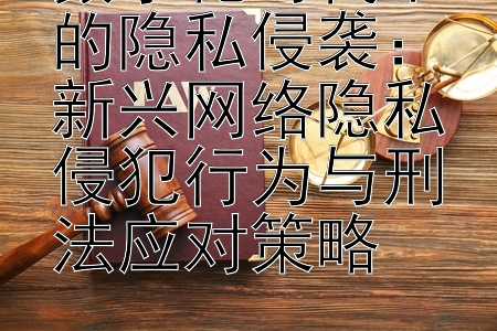 数字化时代下的隐私侵袭：新兴网络隐私侵犯行为与刑法应对策略