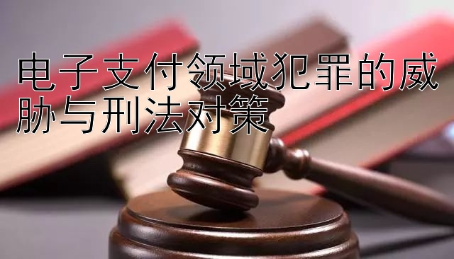 电子支付领域犯罪的威胁与刑法对策