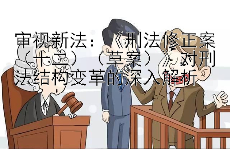 审视新法：《刑法修正案（十二）（草案）》对刑法结构变革的深入解析