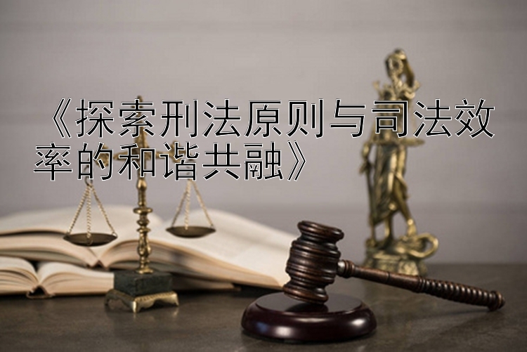 《探索刑法原则与司法效率的和谐共融》