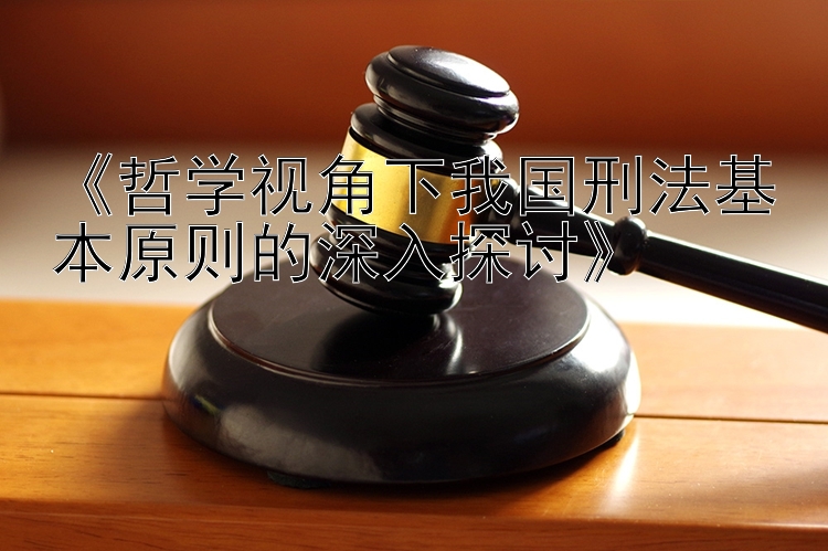 《哲学视角下我国刑法基本原则的深入探讨》