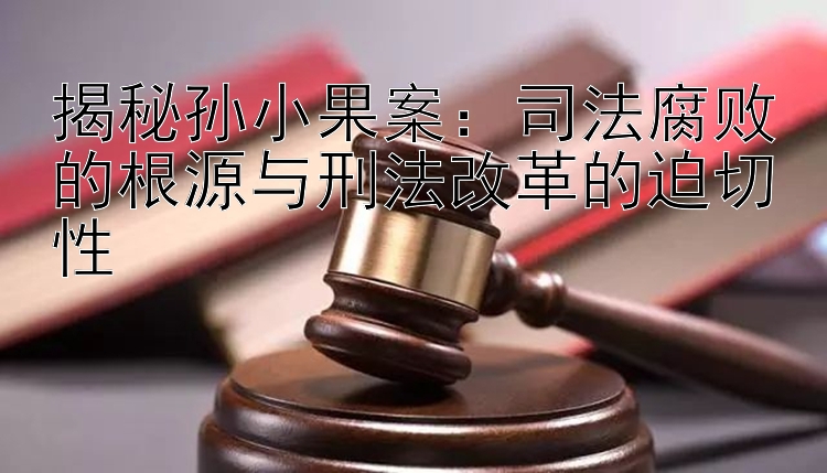 揭秘孙小果案：司法腐败的根源与刑法改革的迫切性