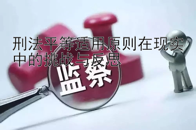 刑法平等适用原则在现实中的挑战与反思