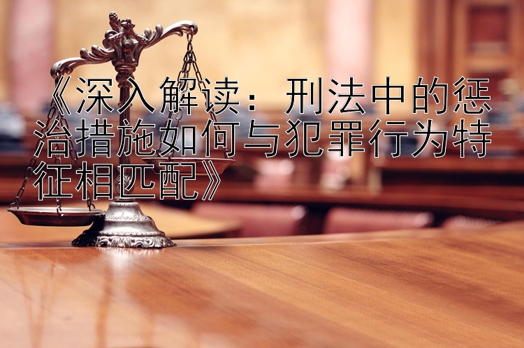 《深入解读：刑法中的惩治措施如何与犯罪行为特征相匹配》