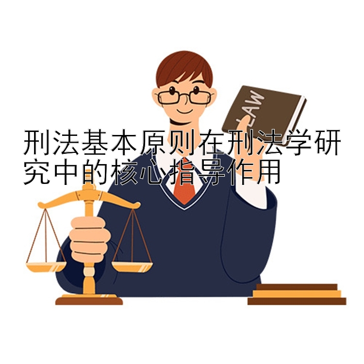 刑法基本原则在刑法学研究中的核心指导作用