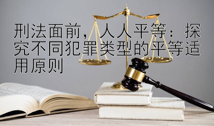 刑法面前，人人平等：探究不同犯罪类型的平等适用原则