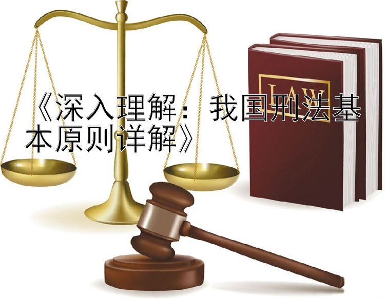 《深入理解：我国刑法基本原则详解》