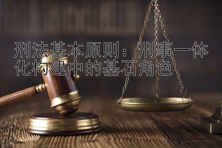 刑法基本原则：刑事一体化构建中的基石角色