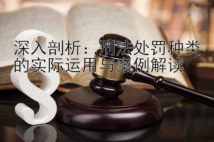 深入剖析：刑法处罚种类的实际运用与案例解读