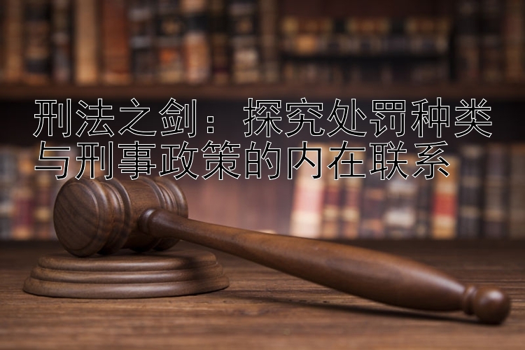 刑法之剑：探究处罚种类与刑事政策的内在联系