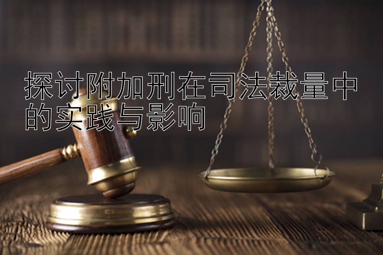 探讨附加刑在司法裁量中的实践与影响