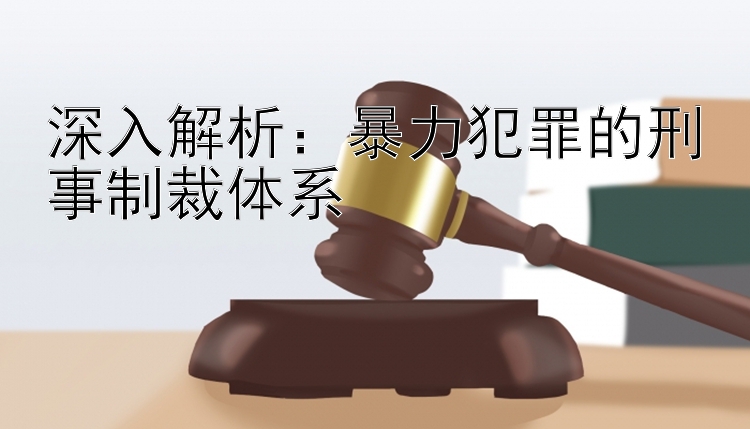 深入解析：暴力犯罪的刑事制裁体系