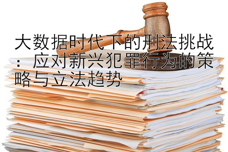 大数据时代下的刑法挑战：应对新兴犯罪行为的策略与立法趋势