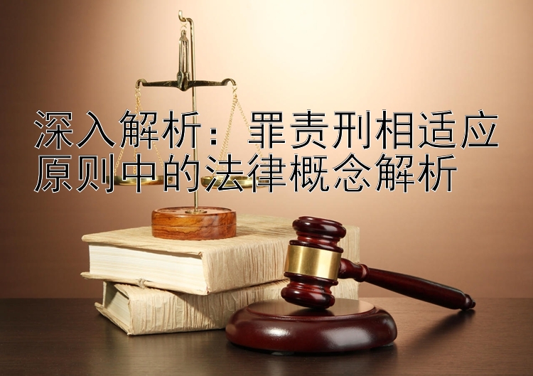 深入解析：罪责刑相适应原则中的法律概念解析