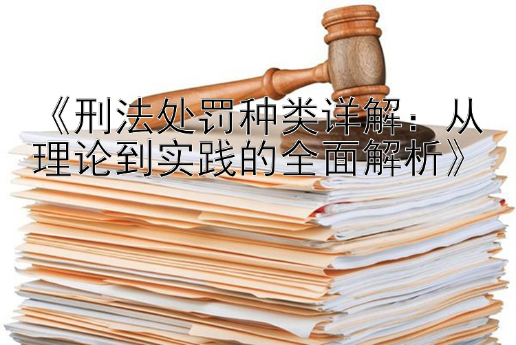 《刑法处罚种类详解：从理论到实践的全面解析》