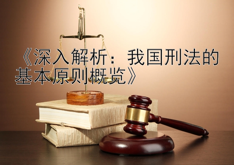 《深入解析：我国刑法的基本原则概览》