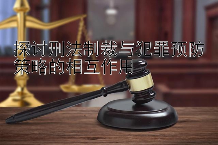 探讨刑法制裁与犯罪预防策略的相互作用