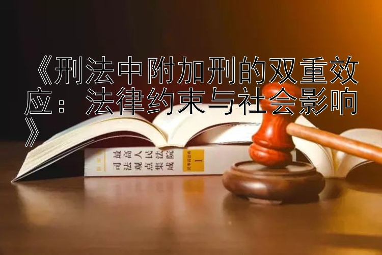 《刑法中附加刑的双重效应：法律约束与社会影响》