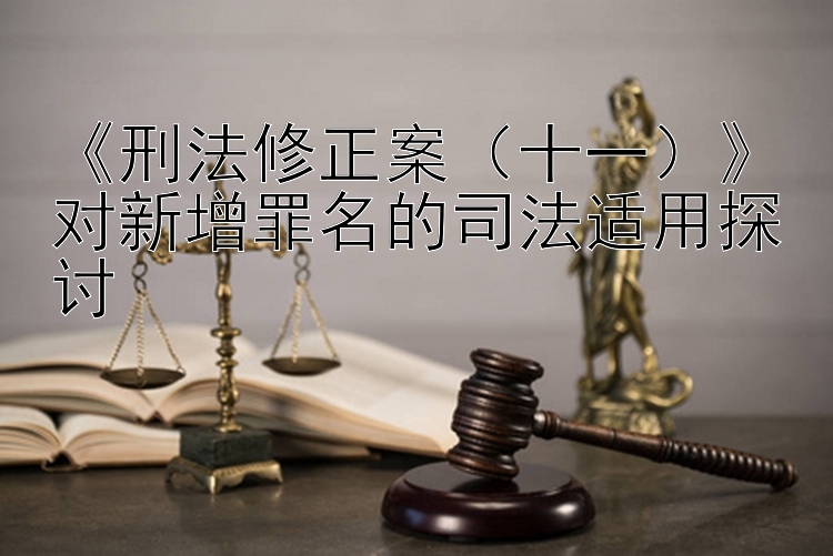 《刑法修正案（十一）》对新增罪名的司法适用探讨