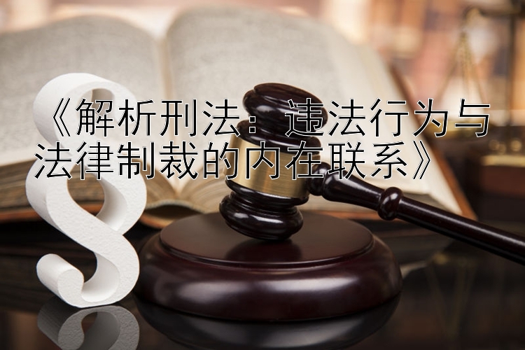 《解析刑法：违法行为与法律制裁的内在联系》