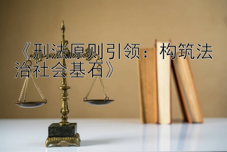 《刑法原则引领：构筑法治社会基石》