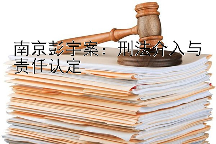 南京彭宇案：刑法介入与责任认定