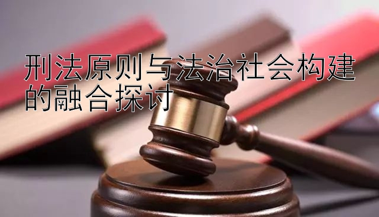 刑法原则与法治社会构建的融合探讨