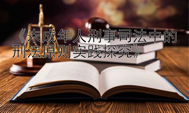 《未成年人刑事司法中的刑法原则实践探究》