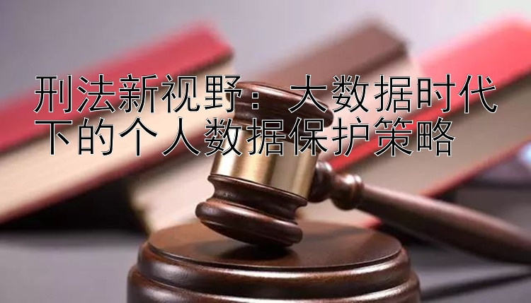 刑法新视野：大数据时代下的个人数据保护策略