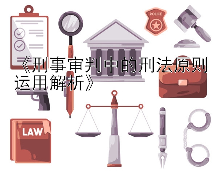 《刑事审判中的刑法原则运用解析》