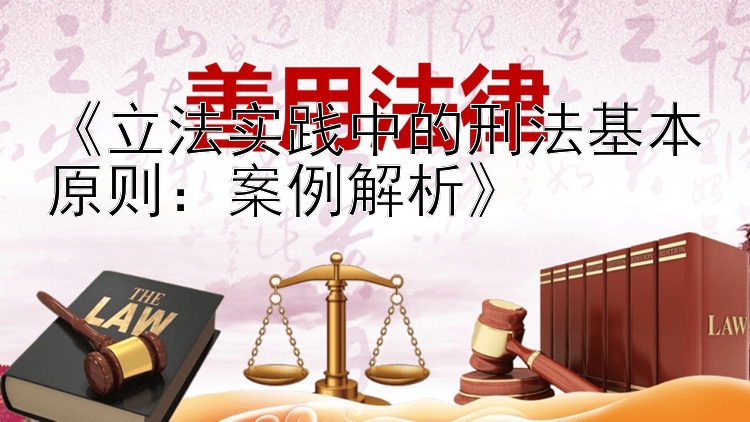 《立法实践中的刑法基本原则：案例解析》