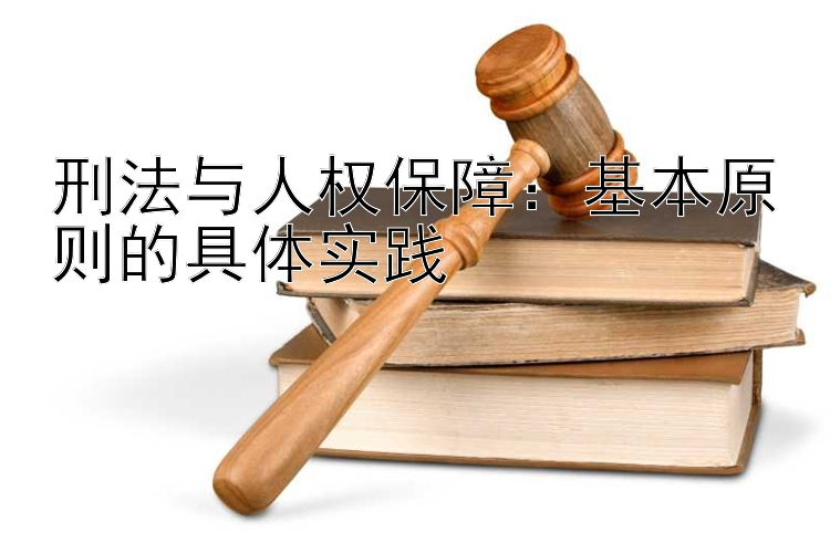 刑法与人权保障：基本原则的具体实践