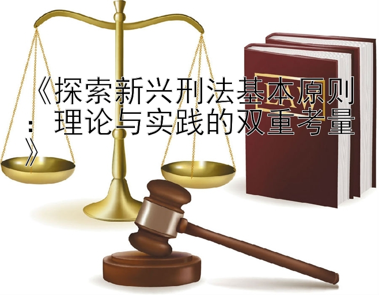 《探索新兴刑法基本原则：理论与实践的双重考量》