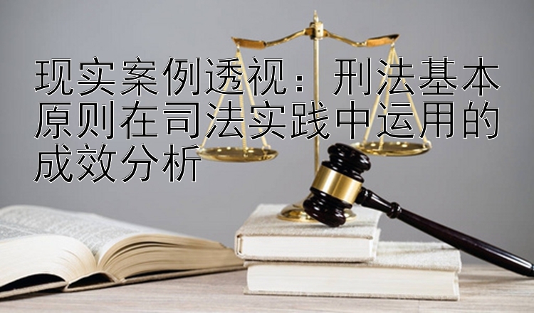 现实案例透视：刑法基本原则在司法实践中运用的成效分析