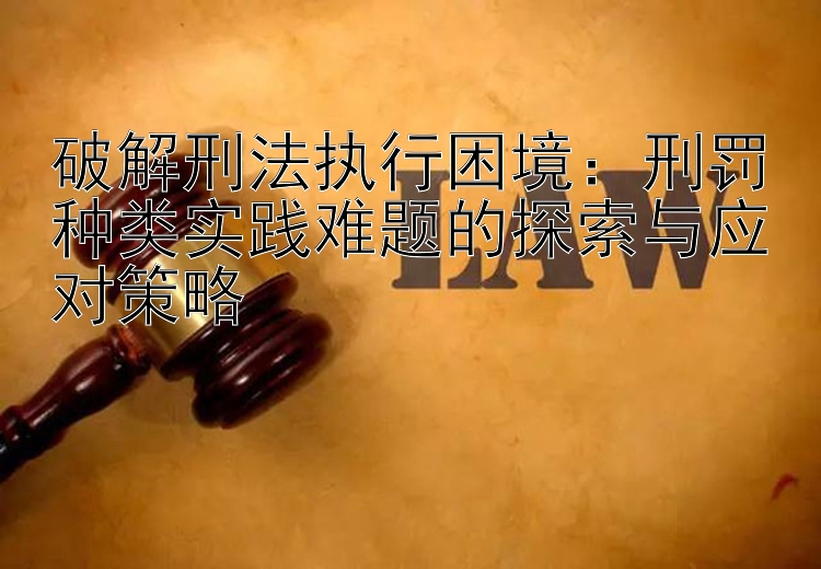 破解刑法执行困境：刑罚种类实践难题的探索与应对策略