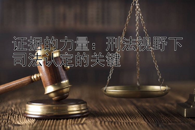 证据的力量：刑法视野下司法认定的关键