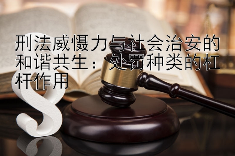 刑法威慑力与社会治安的和谐共生：处罚种类的杠杆作用