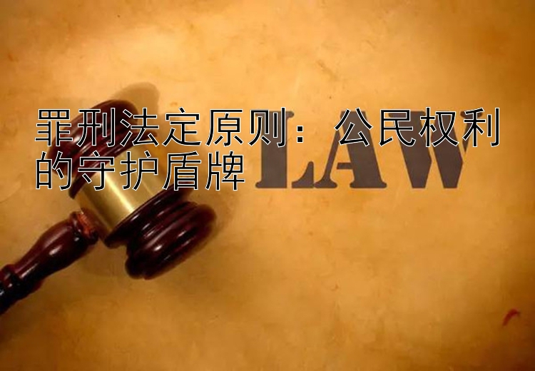 罪刑法定原则：公民权利的守护盾牌