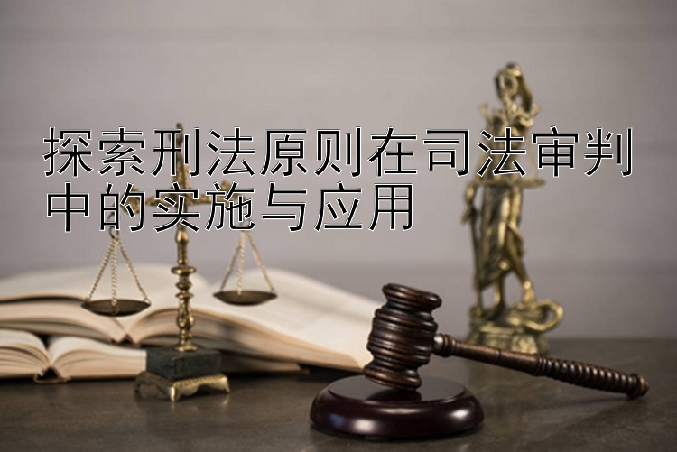 探索刑法原则在司法审判中的实施与应用