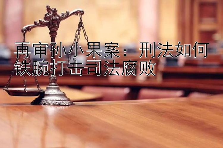 再审孙小果案：刑法如何铁腕打击司法腐败