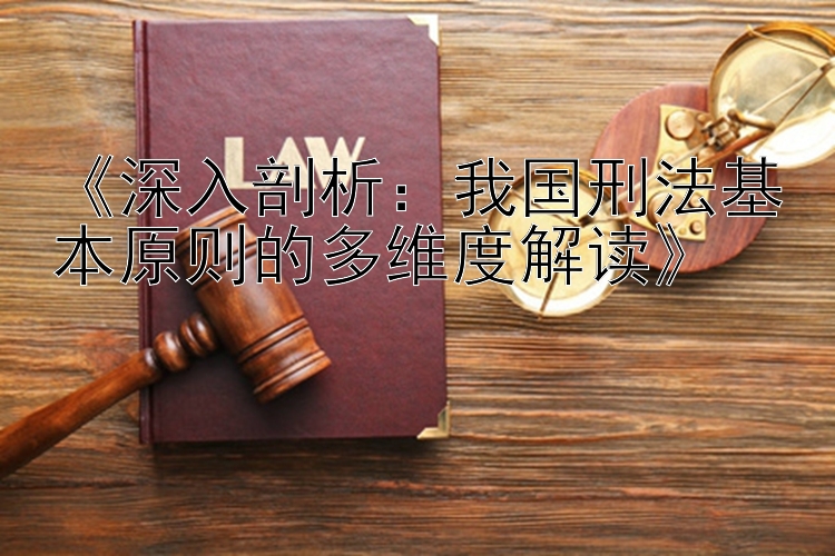 《深入剖析：我国刑法基本原则的多维度解读》